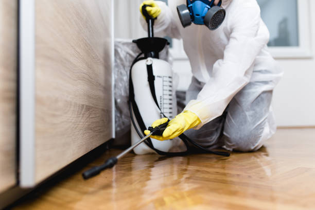 Best Pest Removal Services  in St Ann, MO