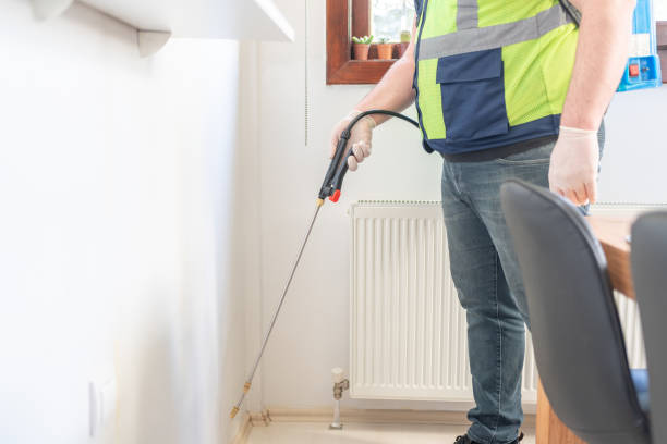 Best Pest Control Near Me  in St Ann, MO